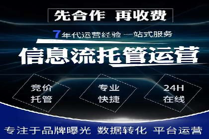 SEO与SEM优化案例：打造行业领先品牌